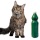 Gatos e água sanitária: porquê alguns felinos são encantados por esse produto